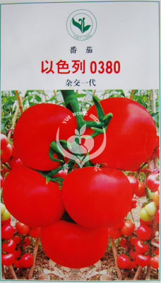 以色列0380番茄
