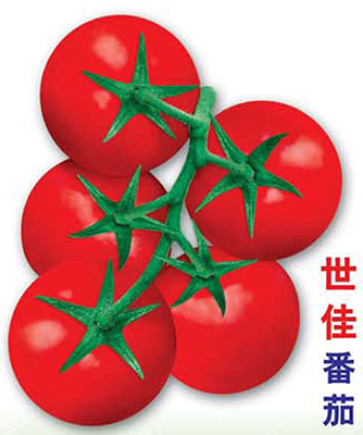 世佳