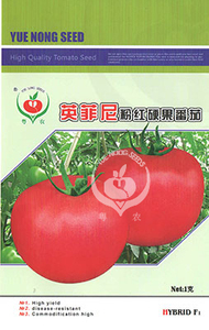 英菲尼【粉果】硬果番茄
