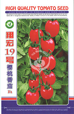 翔宏19号樱桃番茄