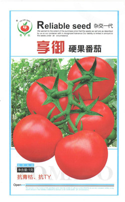 享御硬果番茄