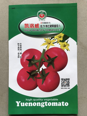 凯洛威抗TY粉红硬果番茄F1