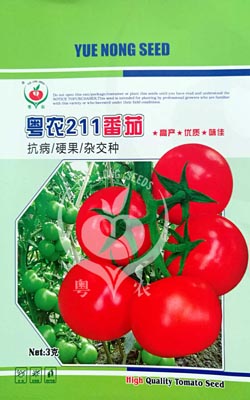 粤农211番茄